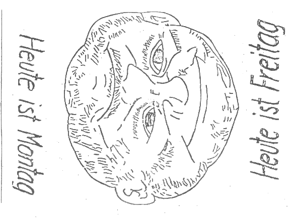 Gesicht